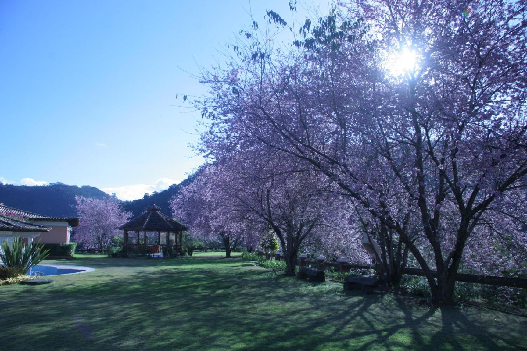 Resort Quinta Da Paz 5*